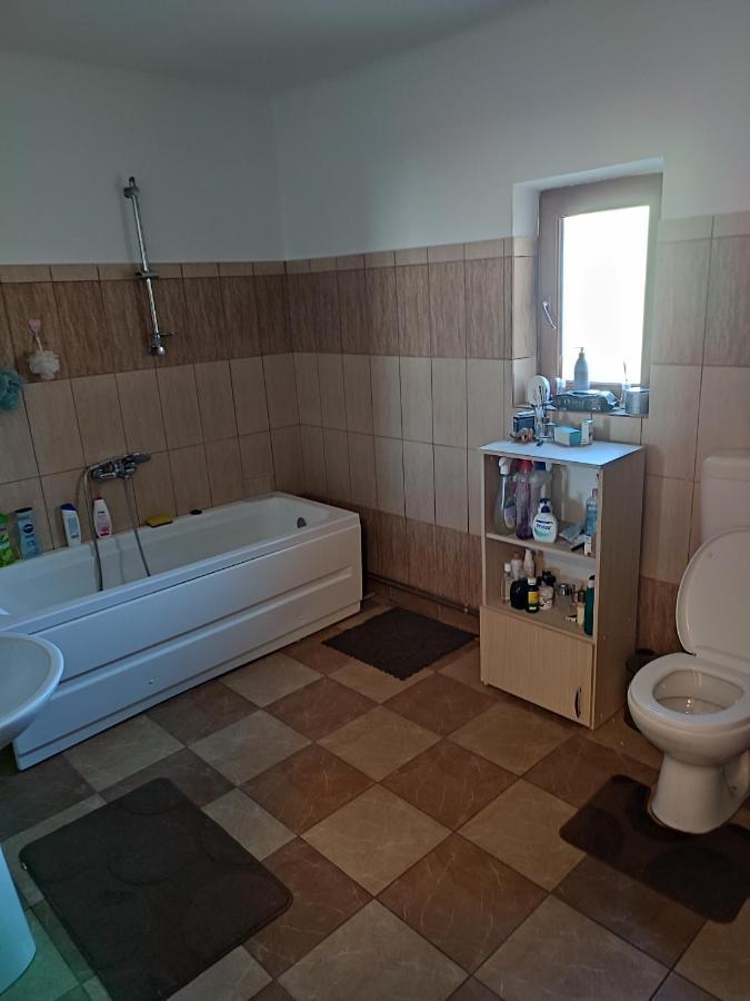 Hotel Central House Curtea de Argeş Zewnętrze zdjęcie